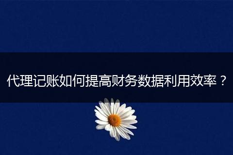 代理记账如何提高财务数据利用效率？