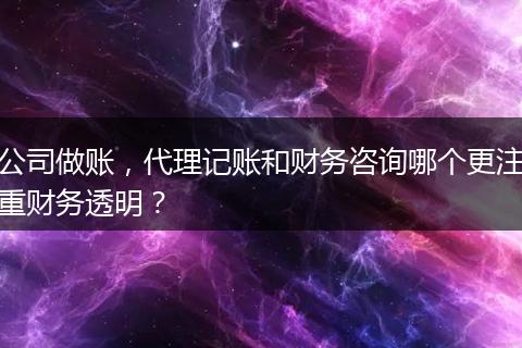 公司做账，代理记账和财务咨询哪个更注重财务透明？