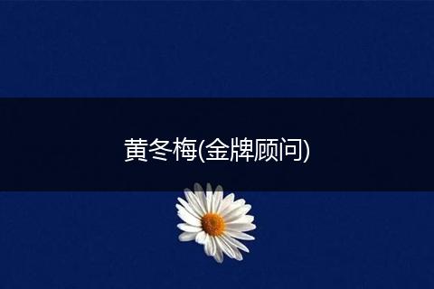 黄冬梅(金牌顾问)