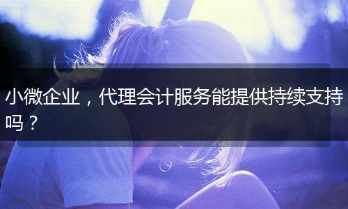小微企业，代理会计服务能提供持续支持吗？