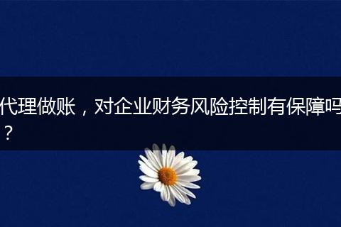 代理做账，对企业财务风险控制有保障吗？