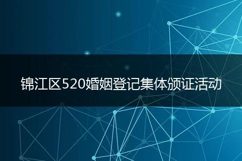 锦江区520婚姻登记集体颁证活动