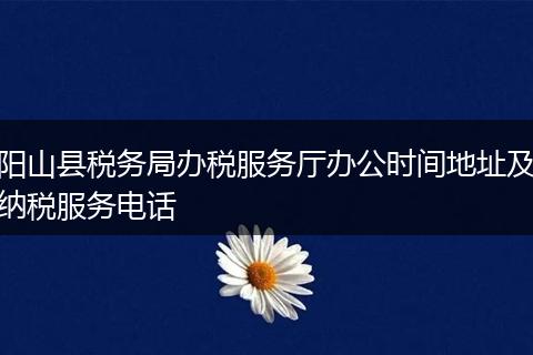 阳山县税务局办税服务厅办公时间地址及纳税服务电话