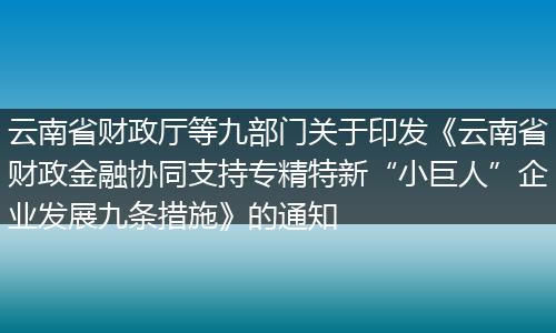 云南省财政厅等九部门关于印发《云南省财政金融协同支持专精特新“小巨人”企业发展九条措施》的通知