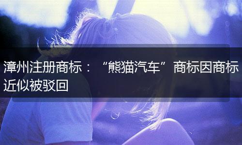 漳州注册商标：“熊猫汽车”商标因商标近似被驳回