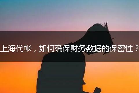 上海代帐，如何确保财务数据的保密性？