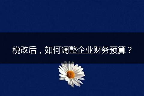 税改后，如何调整企业财务预算？