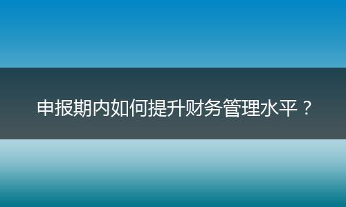 申报期内如何提升财务管理水平？