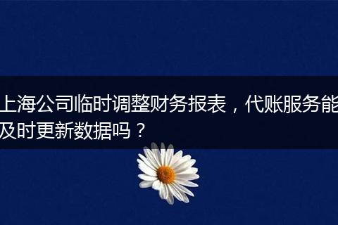 上海公司临时调整财务报表，代账服务能及时更新数据吗？