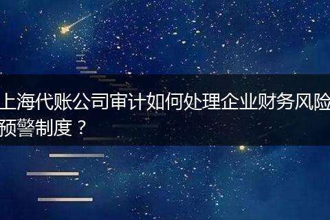 上海代账公司审计如何处理企业财务风险预警制度？