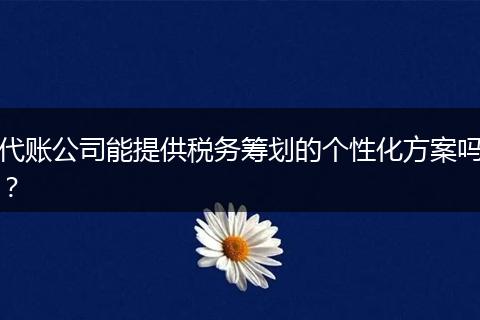 代账公司能提供税务筹划的个性化方案吗？