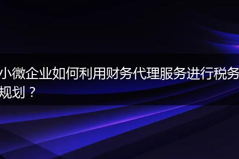 小微企业如何利用财务代理服务进行税务规划？