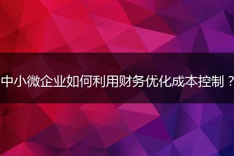 中小微企业如何利用财务优化成本控制？