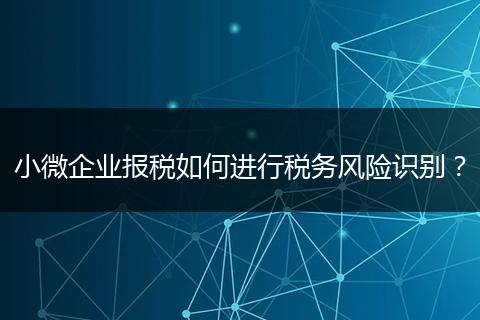 小微企业报税如何进行税务风险识别？