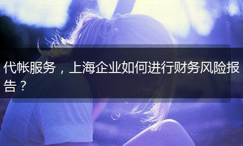 代帐服务，上海企业如何进行财务风险报告？