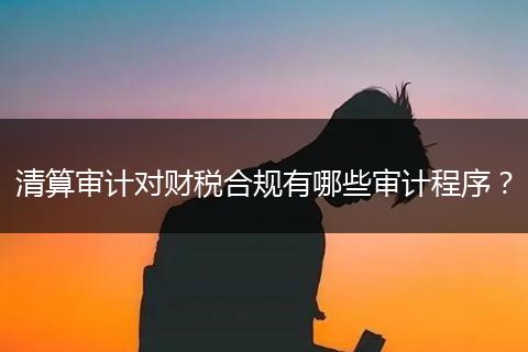 清算审计对财税合规有哪些审计程序？