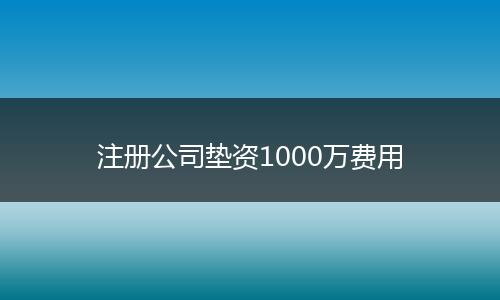 注册公司垫资1000万费用
