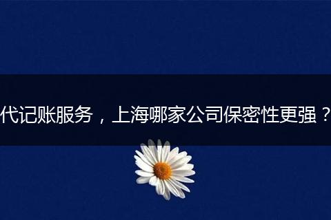 代记账服务，上海哪家公司保密性更强？