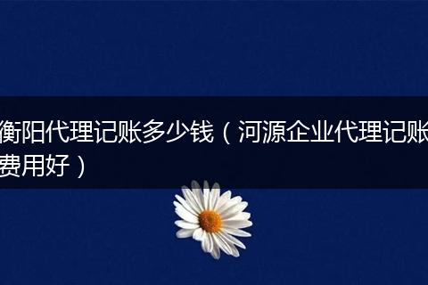 衡阳代理记账多少钱（河源企业代理记账费用好）