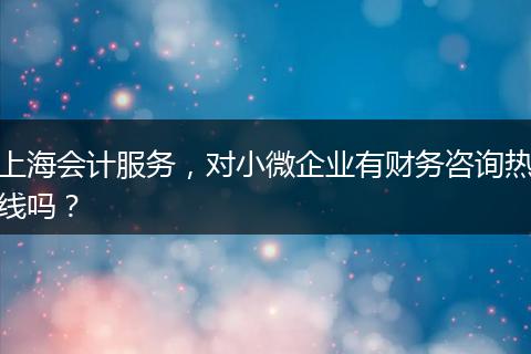 上海会计服务，对小微企业有财务咨询热线吗？