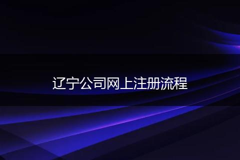 辽宁公司网上注册流程