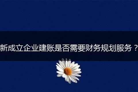 新成立企业建账是否需要财务规划服务？