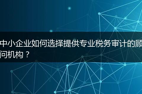中小企业如何选择提供专业税务审计的顾问机构？
