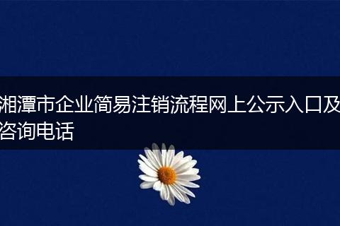 湘潭市企业简易注销流程网上公示入口及咨询电话
