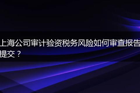 上海公司审计验资税务风险如何审查报告提交？