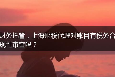 财务托管，上海财税代理对账目有税务合规性审查吗？