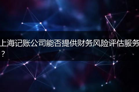 上海记账公司能否提供财务风险评估服务？