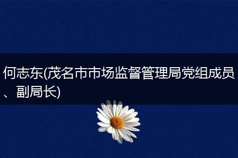 何志东(茂名市市场监督管理局党组成员、副局长)