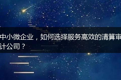 中小微企业，如何选择服务高效的清算审计公司？