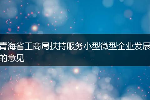 青海省工商局扶持服务小型微型企业发展的意见
