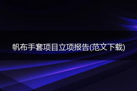 帆布手套项目立项报告(范文下载)