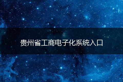 贵州省工商电子化系统入口
