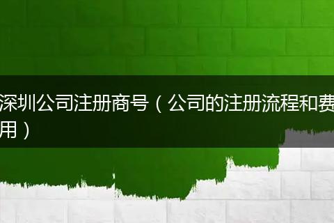 深圳公司注册商号（公司的注册流程和费用）