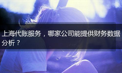 上海代账服务，哪家公司能提供财务数据分析？