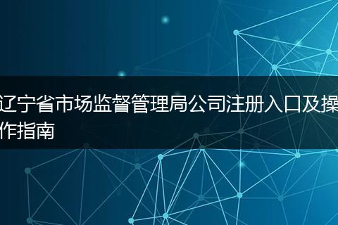辽宁省市场监督管理局公司注册入口及操作指南