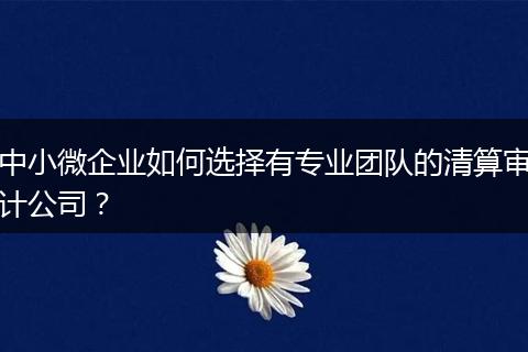 中小微企业如何选择有专业团队的清算审计公司？
