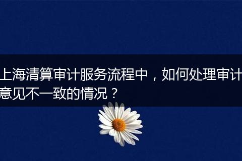 上海清算审计服务流程中，如何处理审计意见不一致的情况？