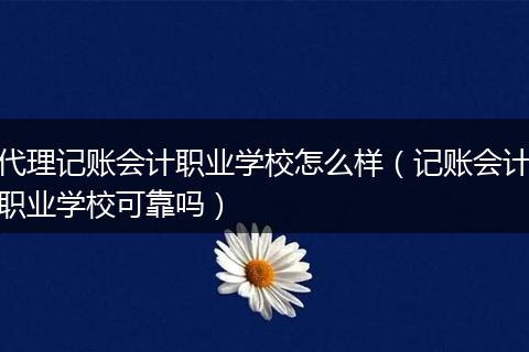 代理记账会计职业学校怎么样（记账会计职业学校可靠吗）