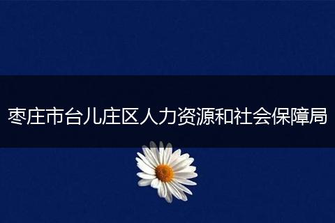 枣庄市台儿庄区人力资源和社会保障局