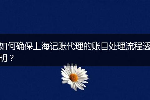 如何确保上海记账代理的账目处理流程透明？