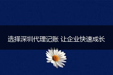 选择深圳代理记账 让企业快速成长