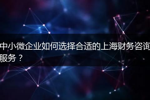 中小微企业如何选择合适的上海财务咨询服务？