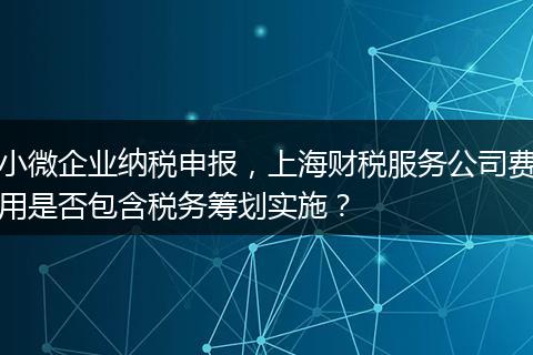 小微企业纳税申报，上海财税服务公司费用是否包含税务筹划实施？