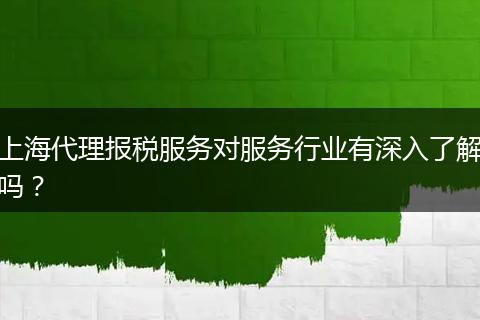 上海代理报税服务对服务行业有深入了解吗？