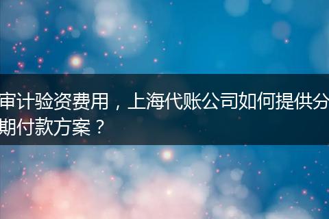 审计验资费用，上海代账公司如何提供分期付款方案？