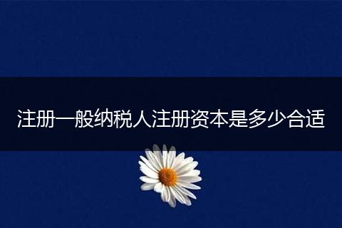 注册一般纳税人注册资本是多少合适